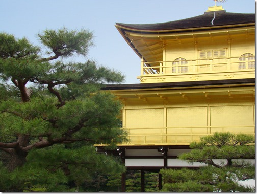 Kyoto Golden pavilion only